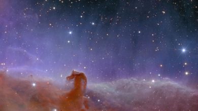 Fotografia della nebulosa "Testa di Cavallo" realizzata da Euclid