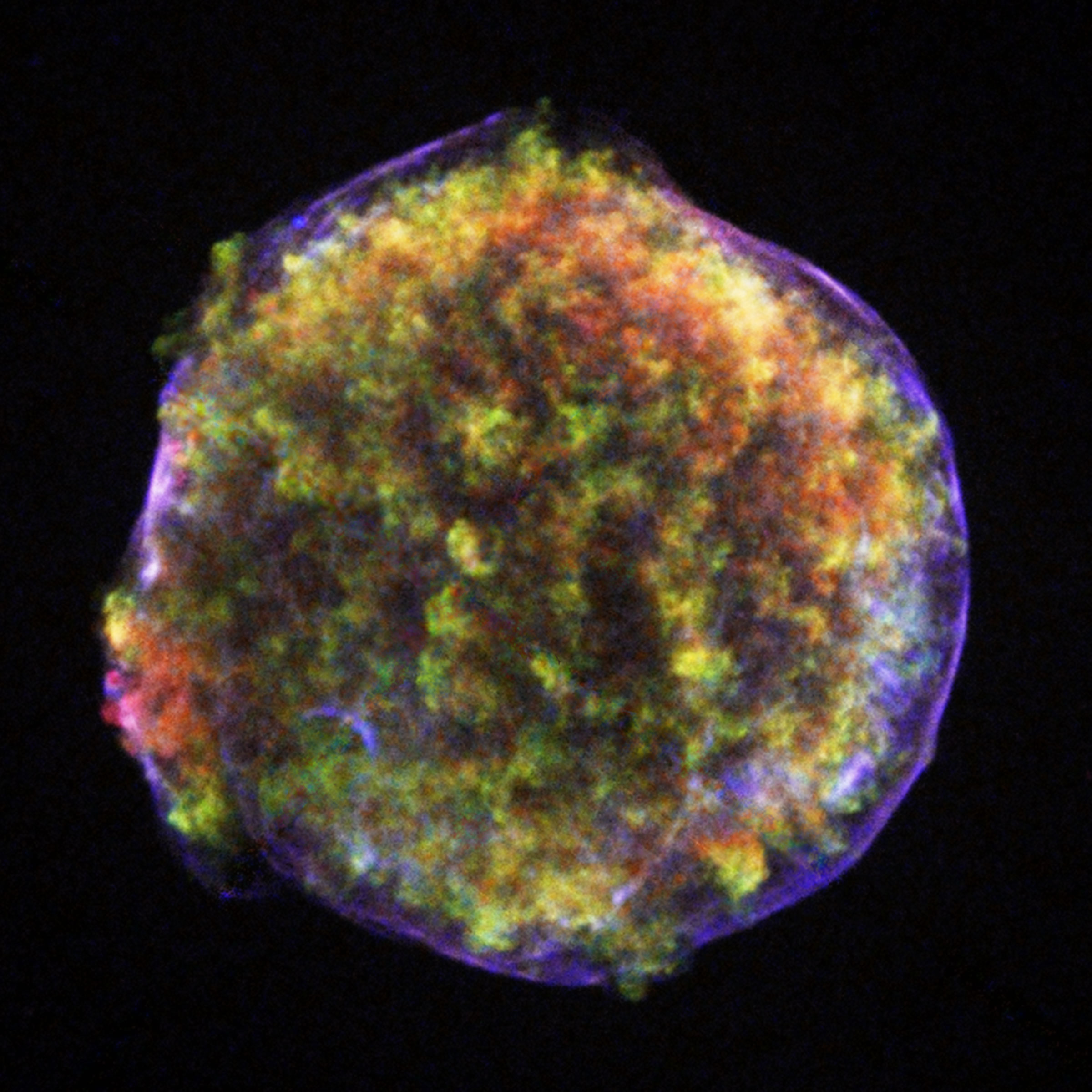 L'immagine mostra la il residuo della supernova di Tycho o SN 1572. Si tratta di una bolla di gas azzurro con all'interno altro gas multicolore, disposto a ricordare come un cespuglio.